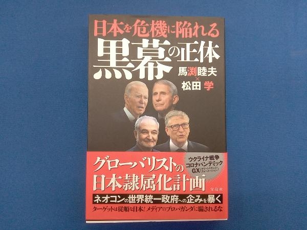 日本を危機に陥れる黒幕の正体 馬渕睦夫_画像1