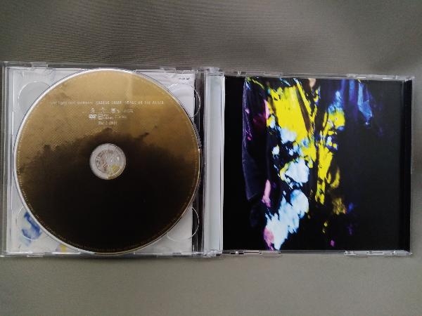 YUSUKE CHIBA-SNAKE ON THE BEACH- CD／real light real darkness《DVD付》_画像5