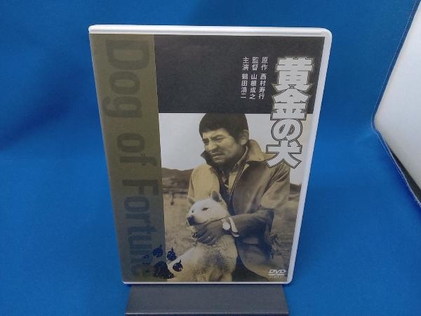 DVD 黄金の犬_画像1