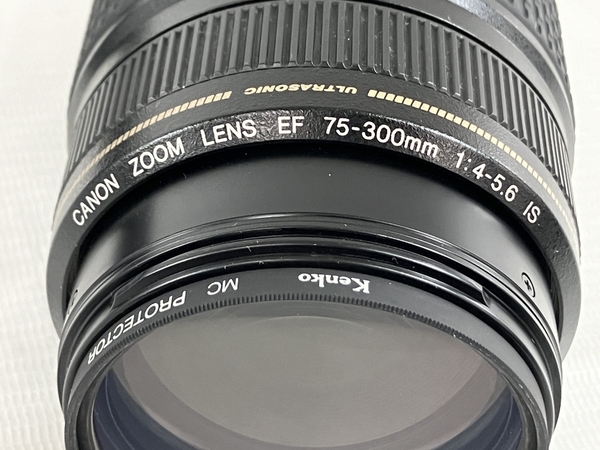 Canon EF 75-300mm F4-5.6 IS 望遠 ズーム レンズ カメラレンズ キャノン 中古 N8310990_画像9