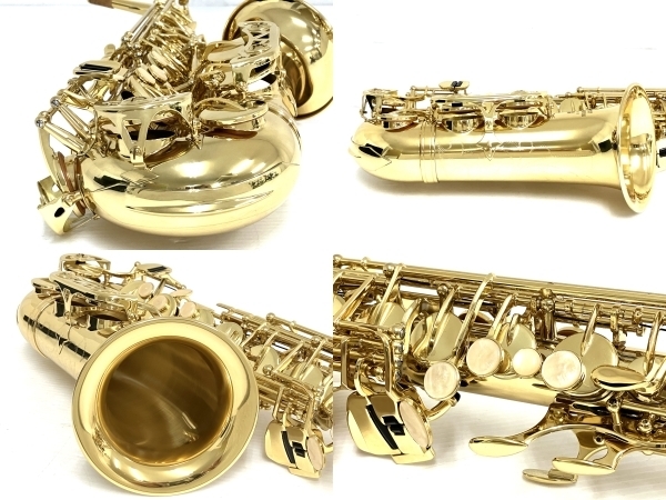 Buffet Crampon BC8101 アルトサックス ケース付 ビュッフェ・クランポン 楽器 美品 中古 O8395593_画像5