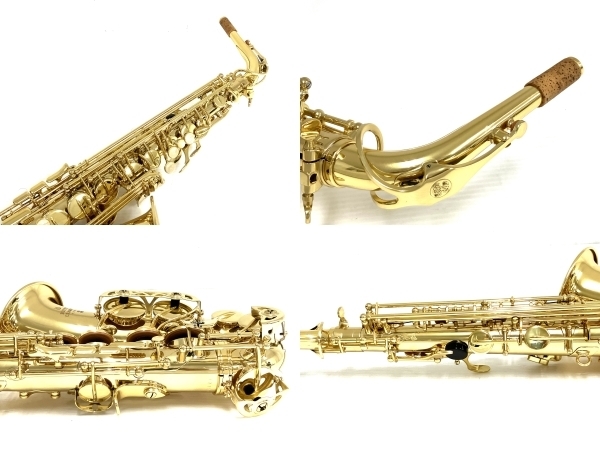 Buffet Crampon BC8101 アルトサックス ケース付 ビュッフェ・クランポン 楽器 美品 中古 O8395593_画像6