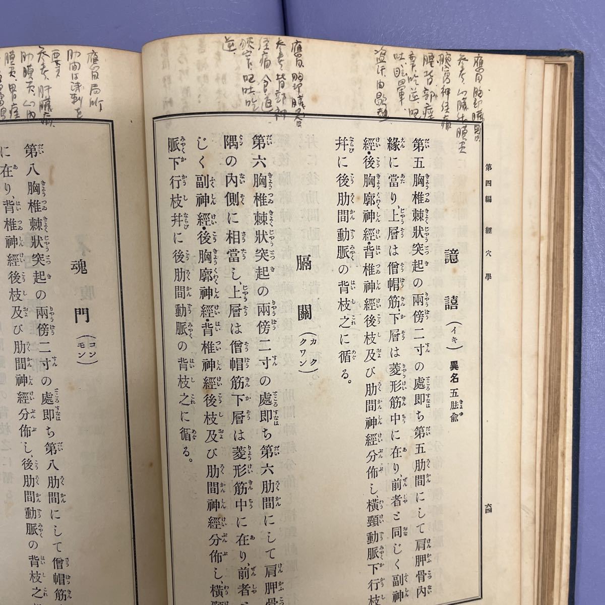 日本鍼灸学教科書　経穴　病理古書 古本　_画像8