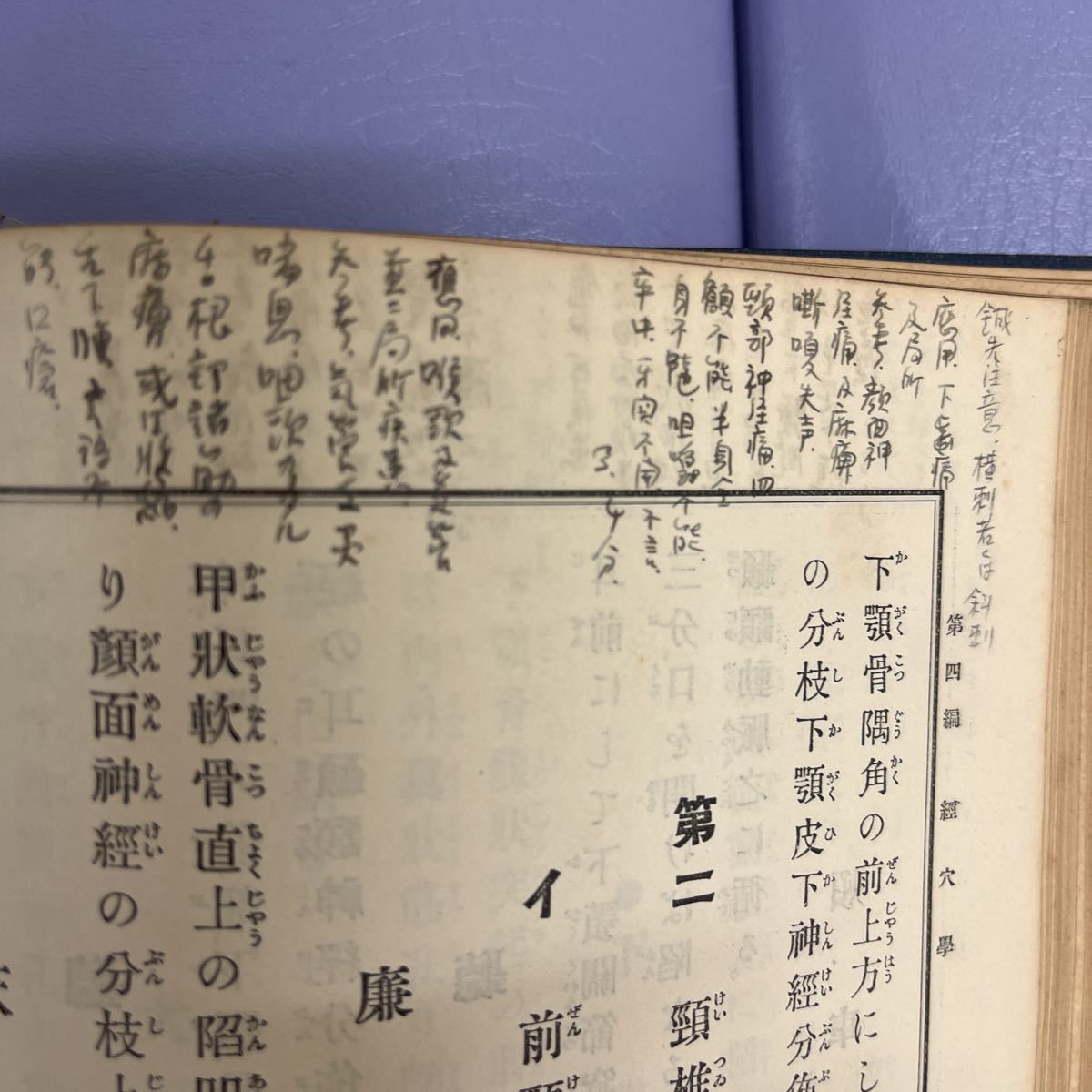 日本鍼灸学教科書　経穴　病理古書 古本　_画像3