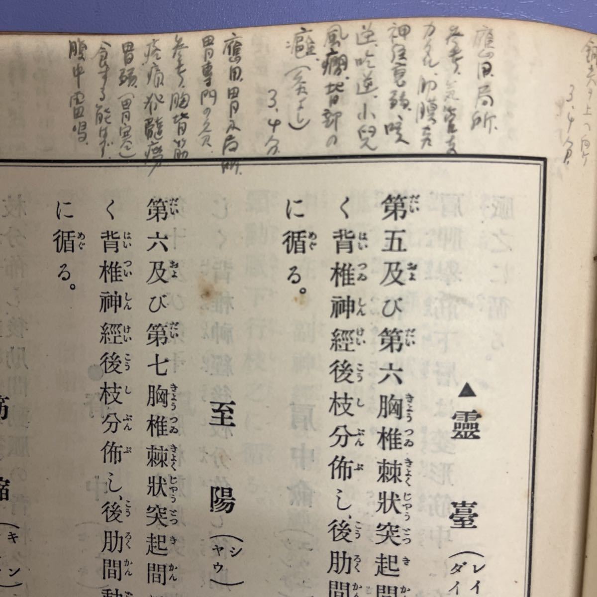 日本鍼灸学教科書　経穴　病理古書 古本　_画像4