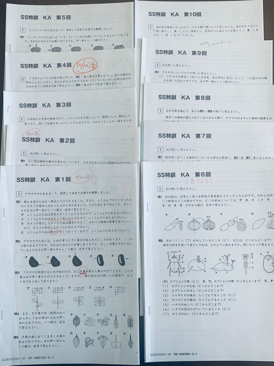 サピックス　SAPIX 小学6年　SS特訓理科 開成麻布コース　第 1回〜第10回　原本　解答解説付き　中学入試　中学受験