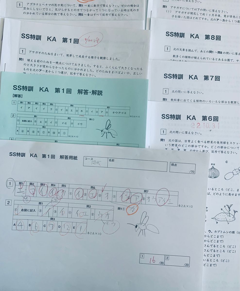 サピックス　SAPIX 小学6年　SS特訓理科 開成麻布コース　第 1回〜第10回　原本　解答解説付き　中学入試　中学受験