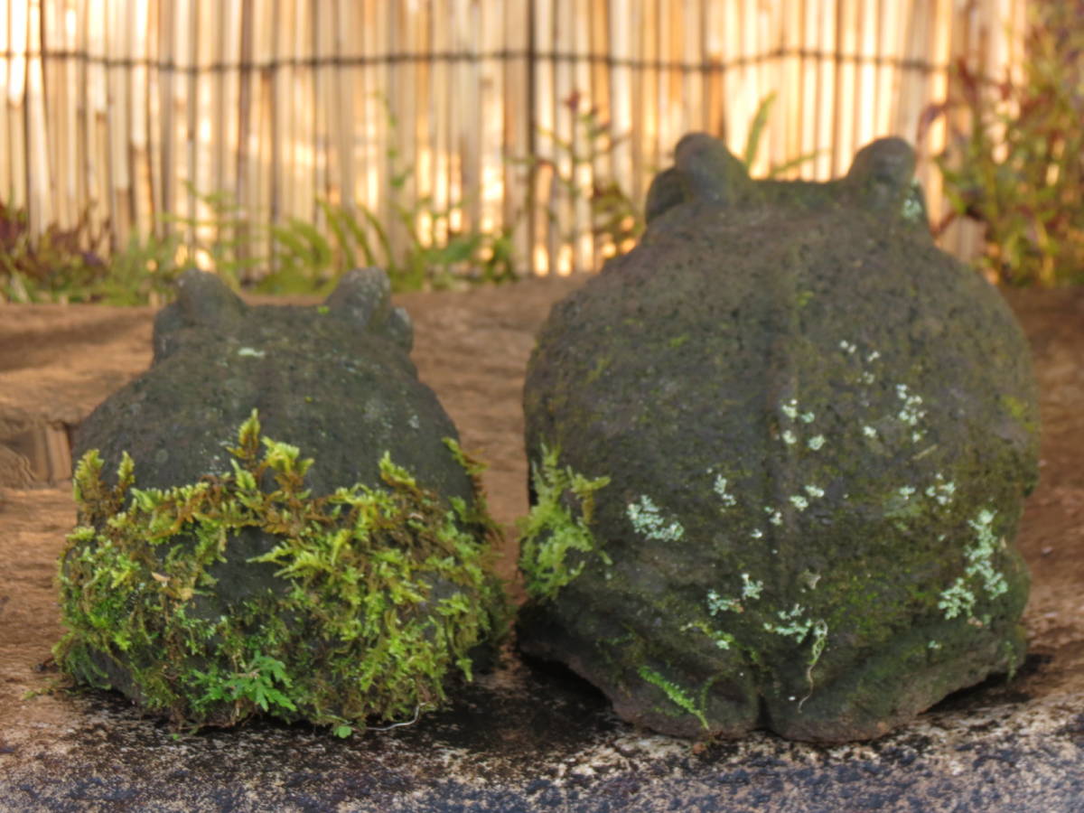 がま二匹　長さ25.5cm、19.5cm　蛙　庭石　九州産天然石_画像8