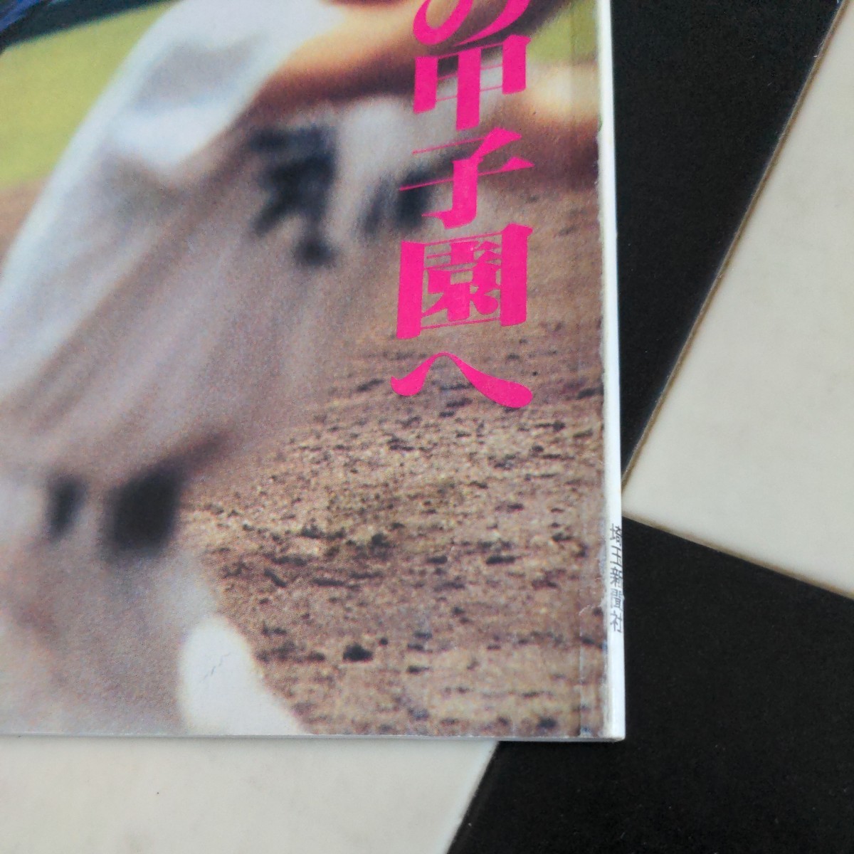 高校野球グラフ　第71回全国高校野球選手権埼玉大会_画像4