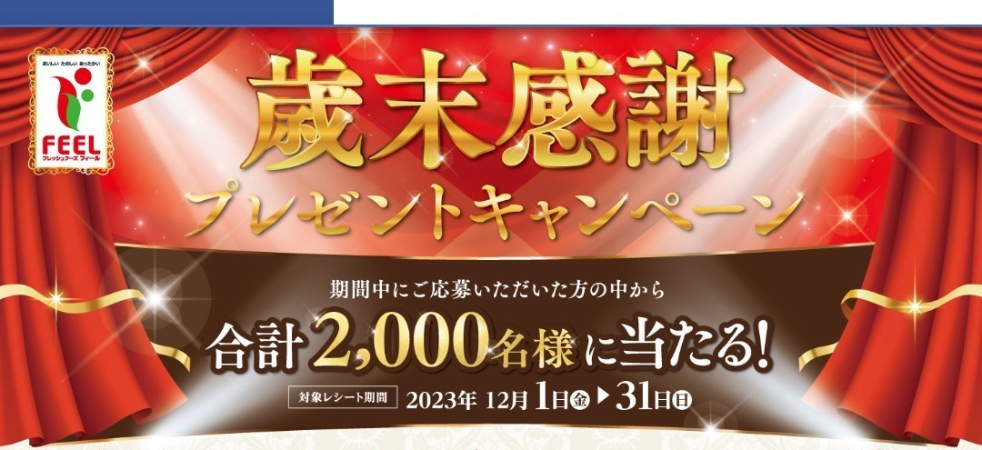 レシート懸賞　歳末感謝　ボイルずわいがに、愛媛県産 せとか、かねふく 辛子明太子、米、レミパンプラス、商品券：カード他　1口応募可_画像2