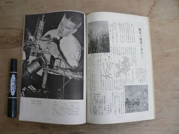 戦前 科学画報 第30巻第11号 昭和16年11月号 1941年 誠文堂新光社 運輸機関にある問題 模型をつくる技術と精神の画像7