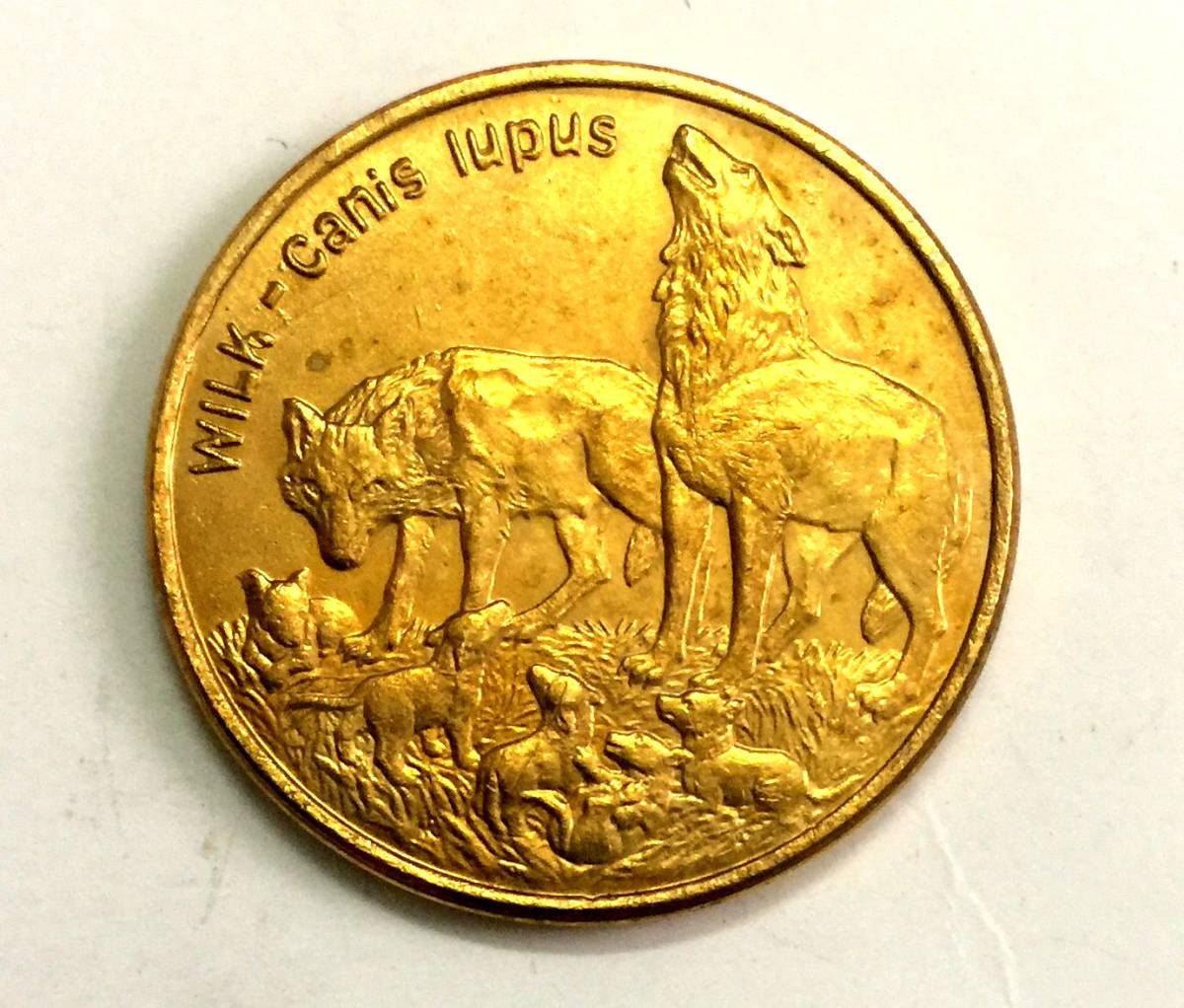  原文:ポーランド 金貨 1999 2大型金貨 激稀少!!! 直径27mm 重さ8.9g