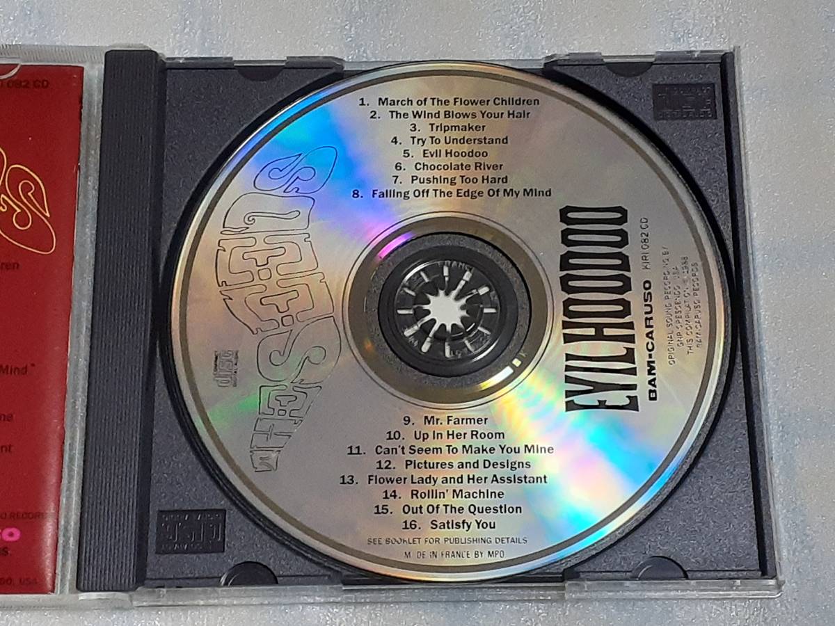 THE SEEDS/EVIL HOODOO 輸入盤CD US GARAGE サイケ 88年編集盤 SKY SAXONの画像3