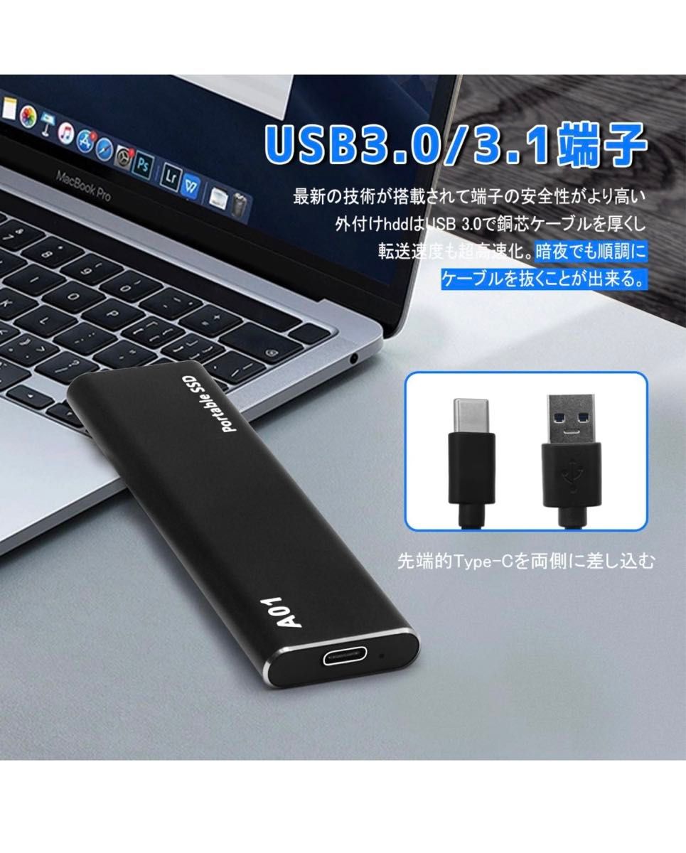 WKWW外付け SSD USB3.1超高速 Typec-C変換プラグ-Ｆ(4TB)