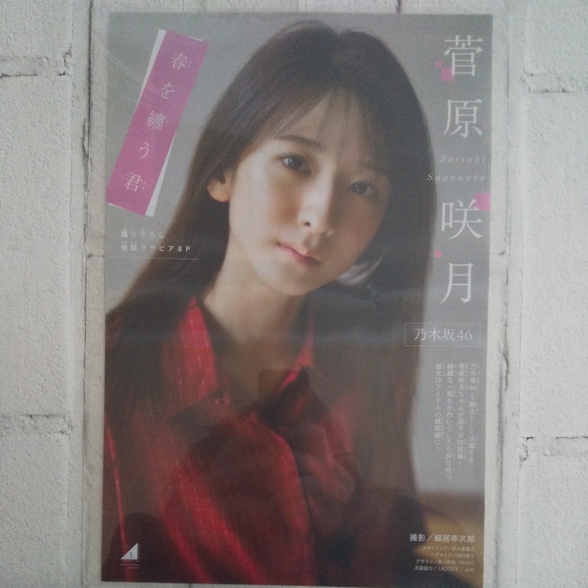 『雑誌グラビア ラミネート加工』O-713『菅原咲月 乃木坂46 5期生 アイドル』 少年マガジン 2023年5月3日号 B5 4枚8ページ ※15_画像1