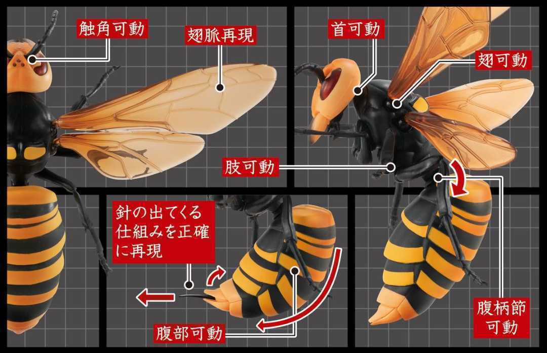 バンダイ すずめばち01 2種類 キイロスズメバチ クロスズメバチ 新品 リアルフィギュア 大きい 昆虫 ディスプレイ_画像7