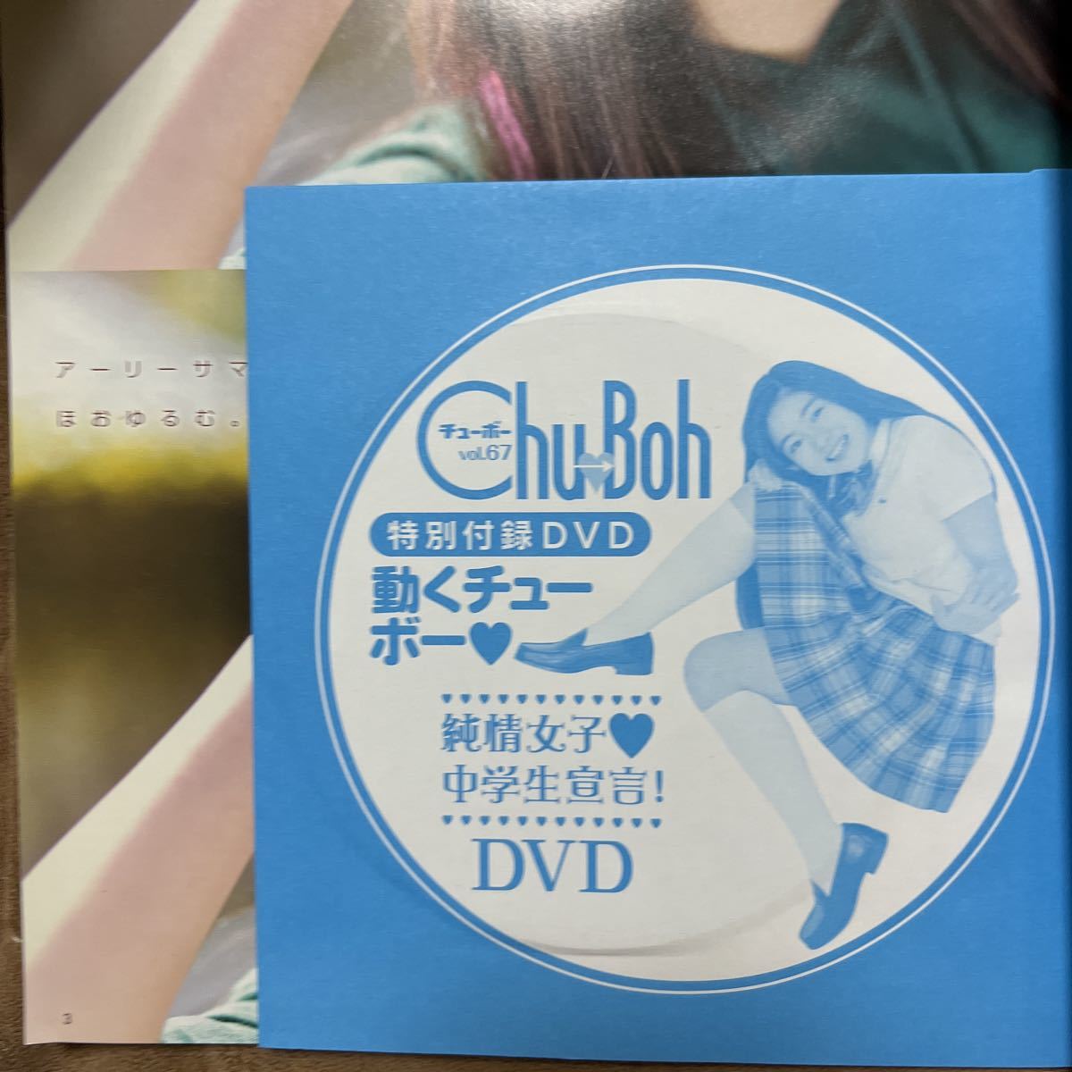 チューボー67 Chu Boh DVD つき未開封_画像3