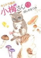 キジトラ猫の小梅さん(１３) ねこぱんちＣ／ほしのなつみ(著者)_画像1