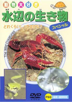 動物大好き 水辺の生き物 スペシャル 中古 DVD_画像1