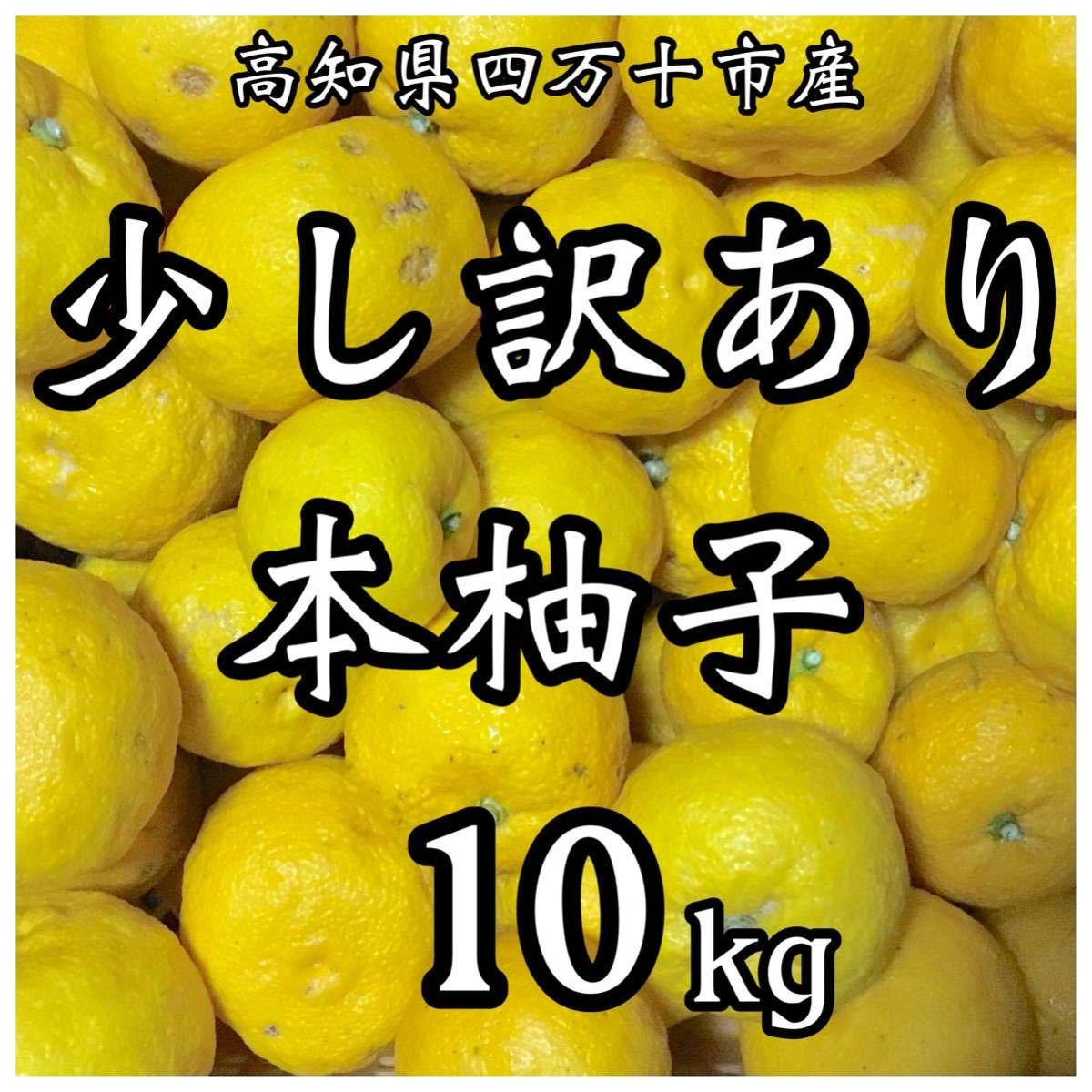 本柚子10kg MY39-