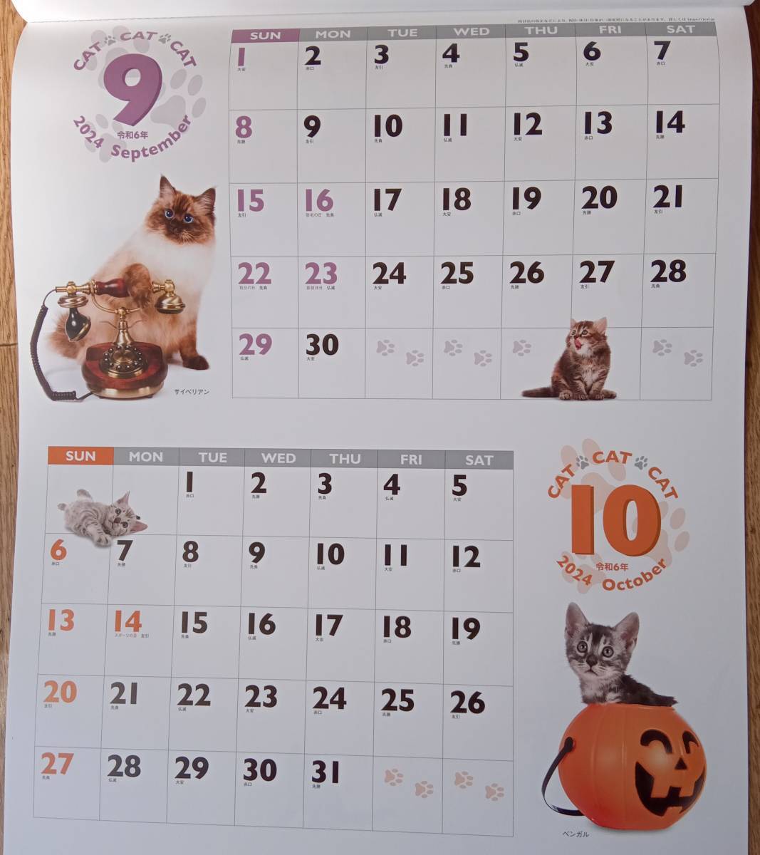 2024年(令和6年)★かわいい 猫のカレンダー★2ヵ月ごと★壁掛け★CAT・CAT・CAT CALENDAR★ネコ★キュート_画像5