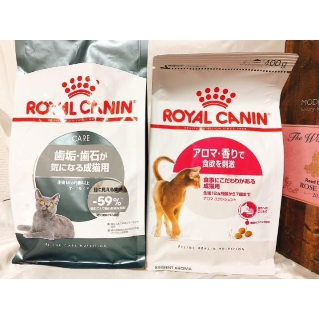 限定 ロイヤルカナン 猫 キャットフード アロマで食欲 と オーラルケア　#鍵しっぽネコの森キャットフード