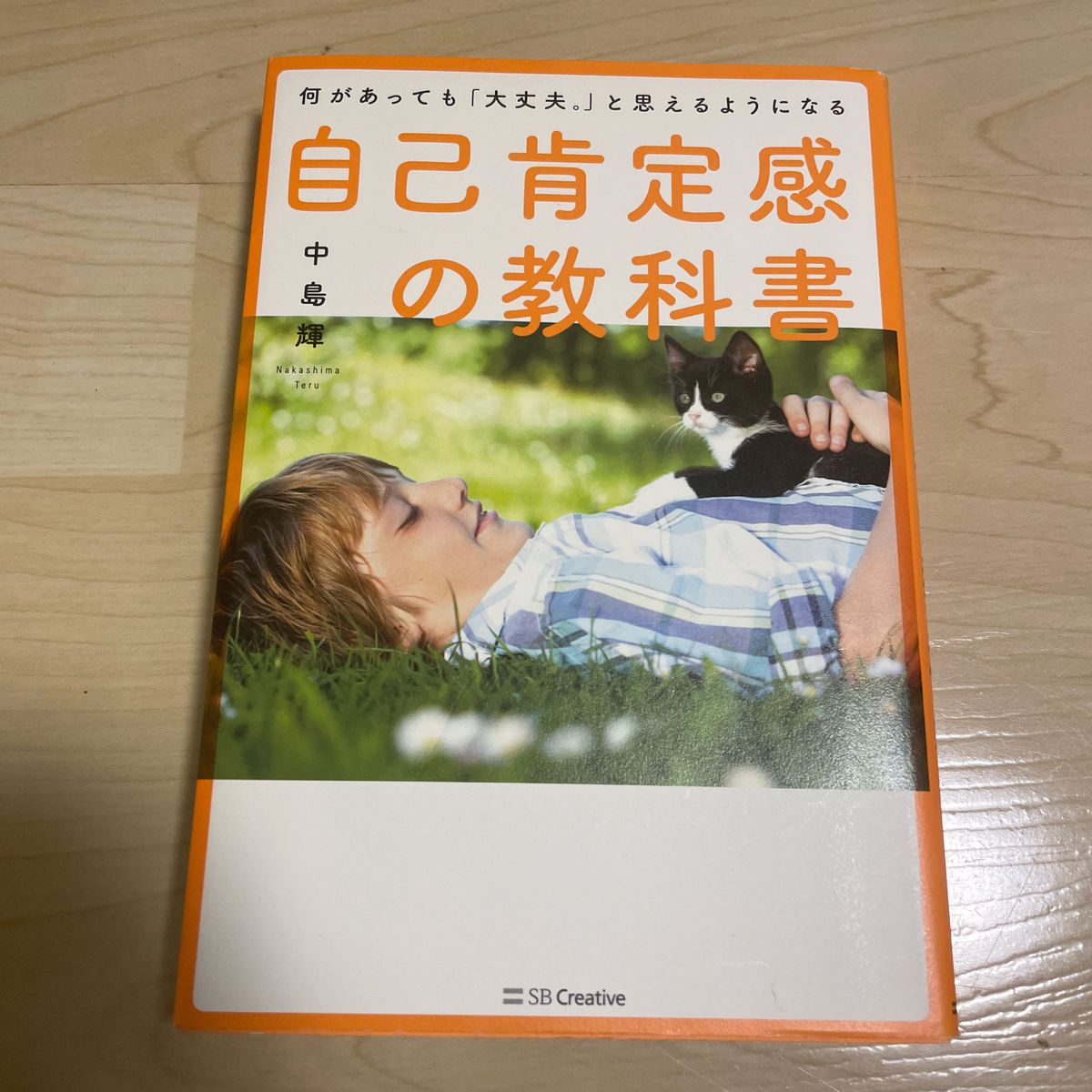 自己肯定感の教科書　何があっても「大丈夫。」と思えるようになる 中島輝／著