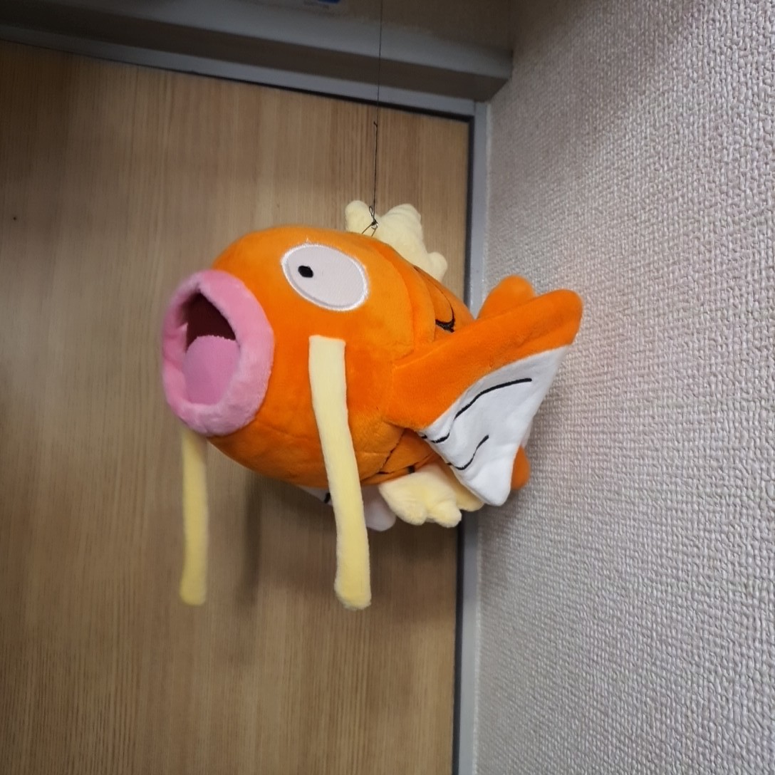ぬいぐるみ コイキング BIG ぬいぐるみ 大きい 大型 特大 グッズ ぬいぐるみ コイキング BIG ぬいぐるみ 大きい 大型 特大 グッズ