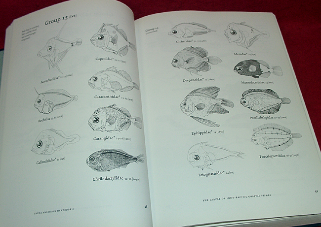 ★The larvae of indo-Pacific coastal fishes [インド太平洋沿岸の魚の幼生]/[洋書/英語]◎美本!★　(管-y85)_画像2