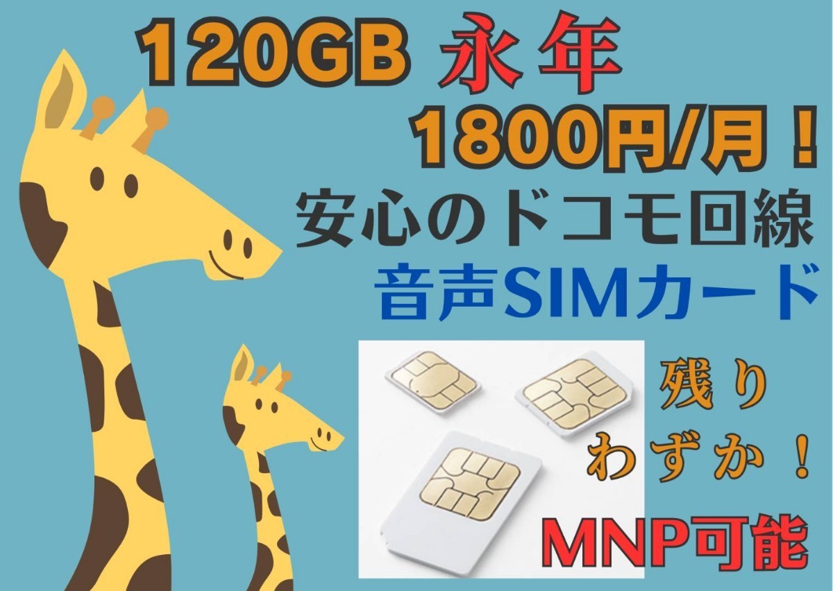 120GB 1800円/月 格安SIM 音声SIM 安心のdocomo回線 MNP可能 期間限定 キャンペーン中のみお申込み可能 格安シム SIMカード SIMフリー_画像1