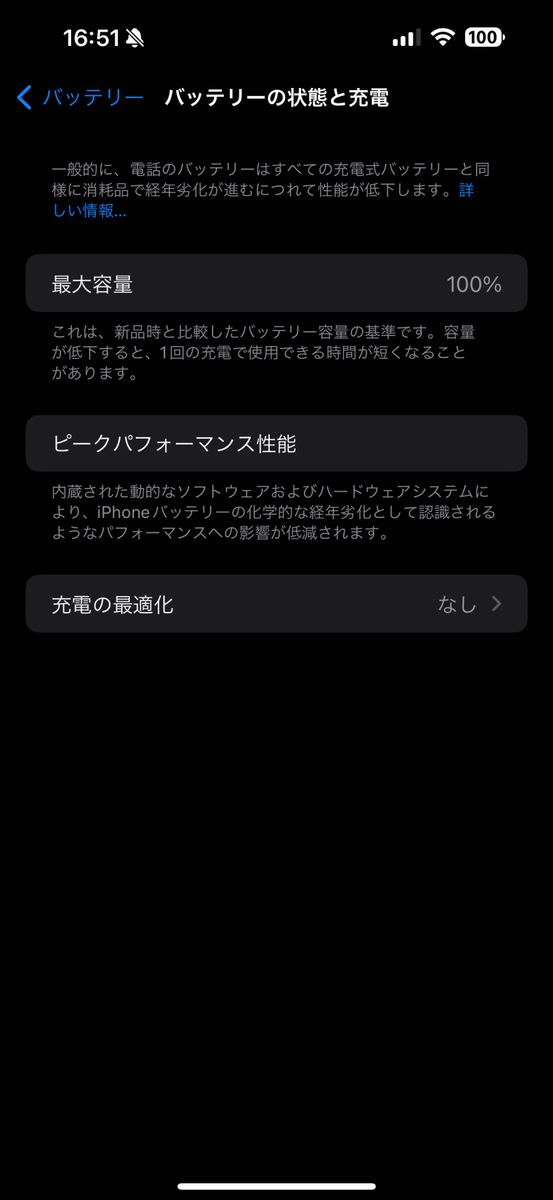 【極美品】iPhone15 Pro Max 256GB SIMフリー