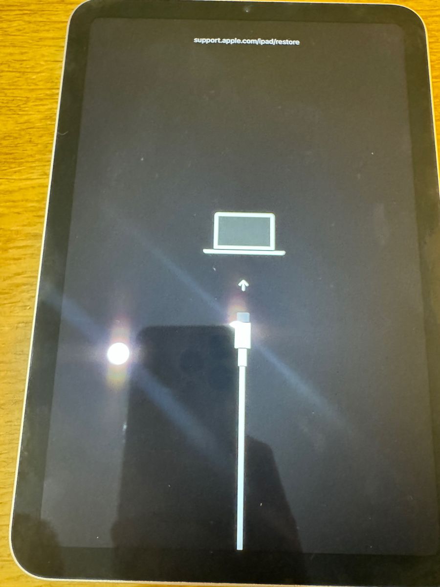 iPad mini6 64GB WiFi SpaceGray ジャンク品 | nate-hospital.com