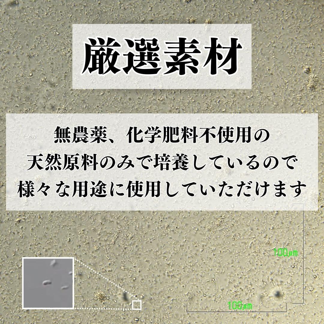 【原液】秀玄 光合成細菌 PSB 原液 20リットル農業 畜産 メダカなど観賞魚飼育に_画像3