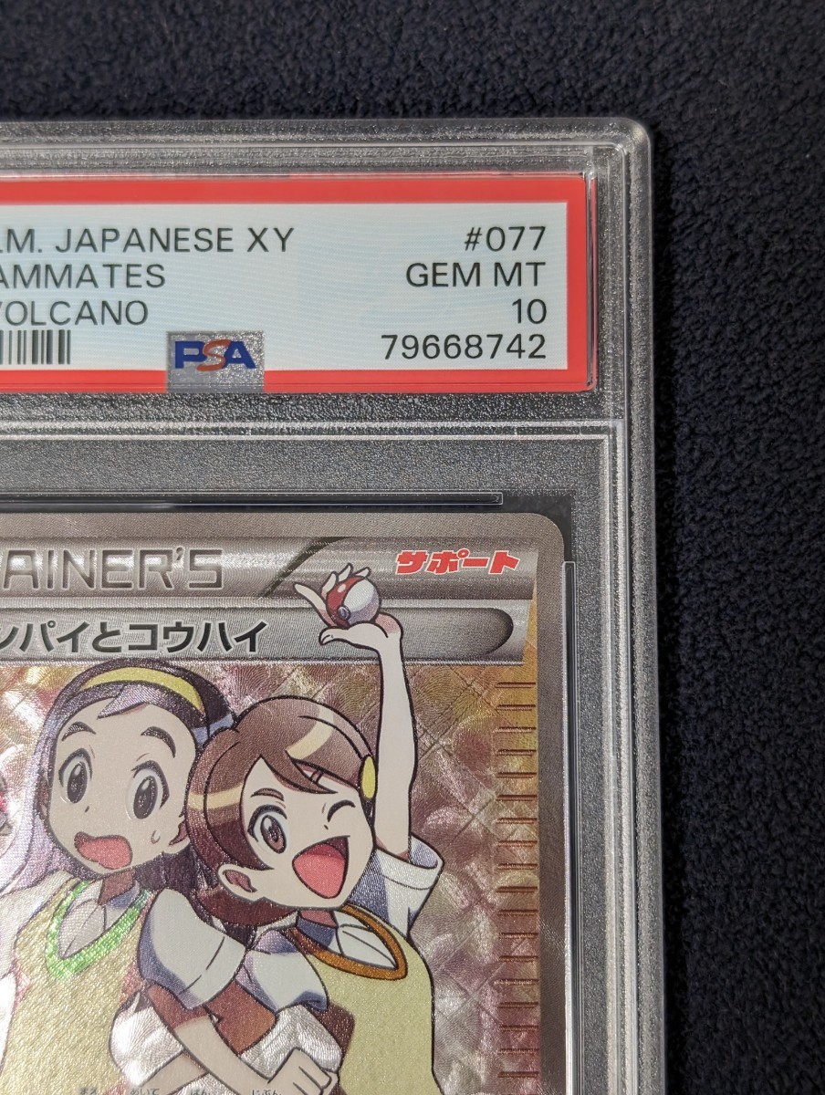 【PSA10】センパイとコウハイ [SR]　(XYs_077/070) ポケモンカード　ガイアボルケーノ　真贋鑑定サービス　希少　格安スタート_画像2