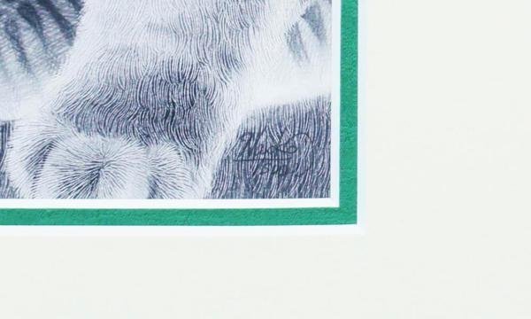 【真作】【WISH】つだなおこ 鉛筆画 約6号 2011年作 動物画 ◆ライオンの子 　　〇鉛筆画作家 モノクロの世界 FCA個展 #23113626_画像4
