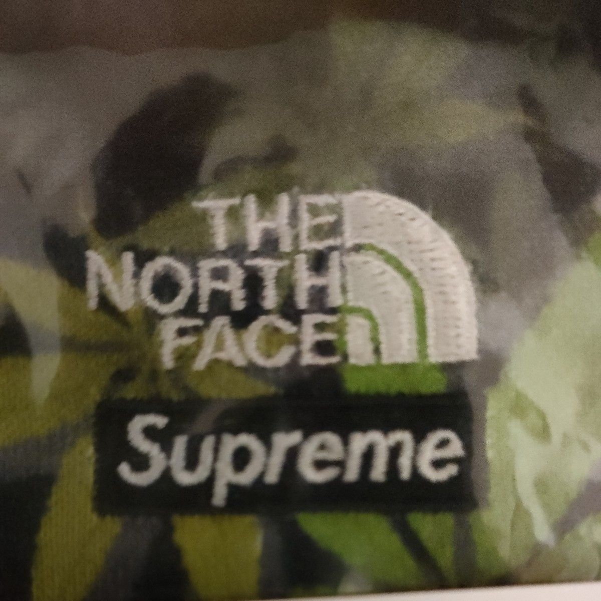 Supreme/The North Face Leaf Hooded Sweatshirt シュプリーム/ザ・ノース・フェイス