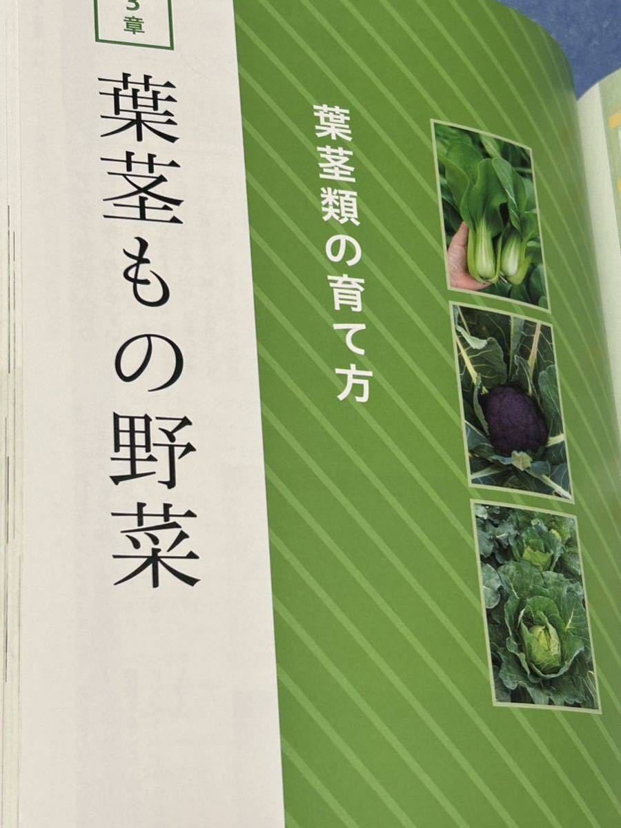 はじめてでも失敗しない！いちばんていねいな野菜づくり図鑑 加藤義貴／監修 ナツメ社 一番丁寧な野菜作り図鑑_画像9