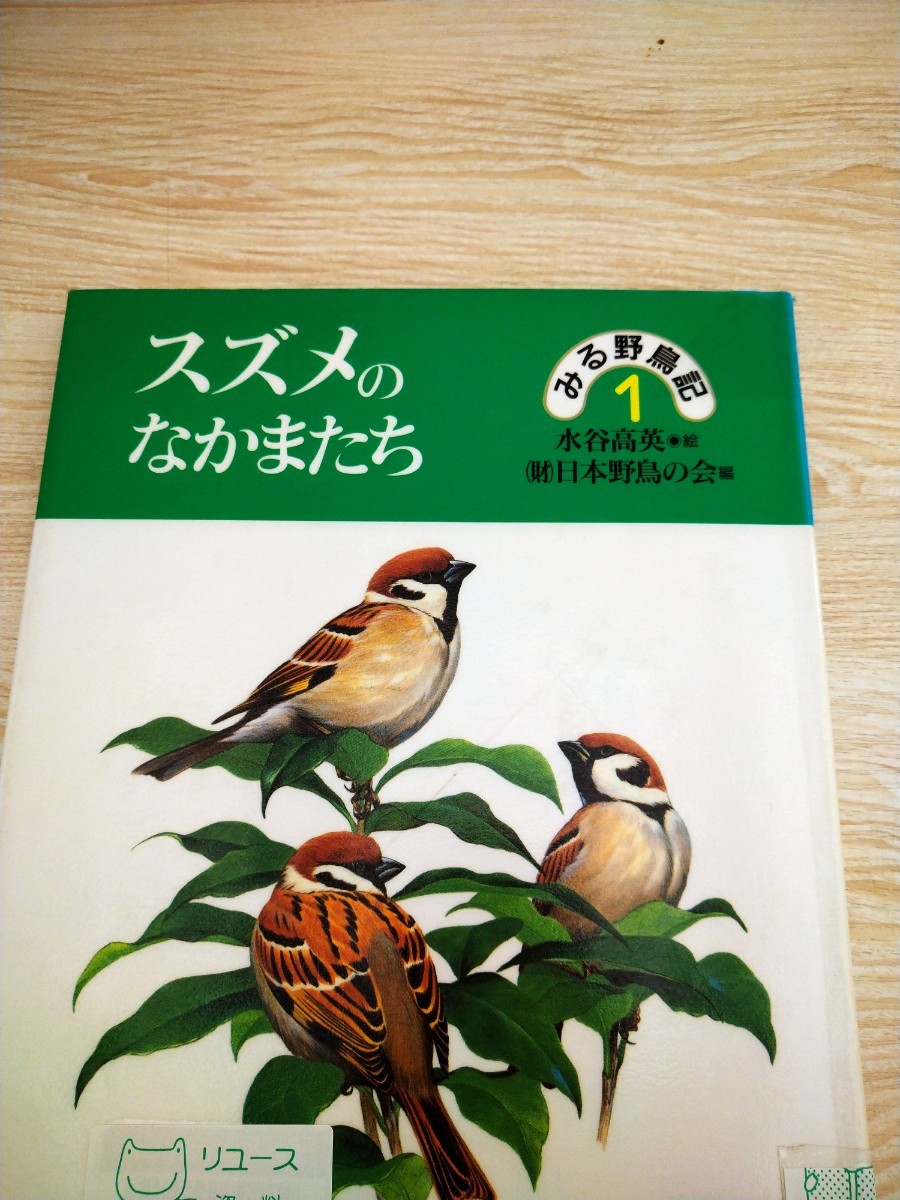 スズメのなかまたち　みる野鳥記１ 水谷高英　絵　日本野鳥の会　編　あすなろ書房　図書館廃棄本_画像1