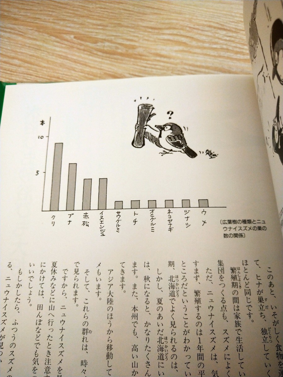 スズメのなかまたち　みる野鳥記１ 水谷高英　絵　日本野鳥の会　編　あすなろ書房　図書館廃棄本_画像4