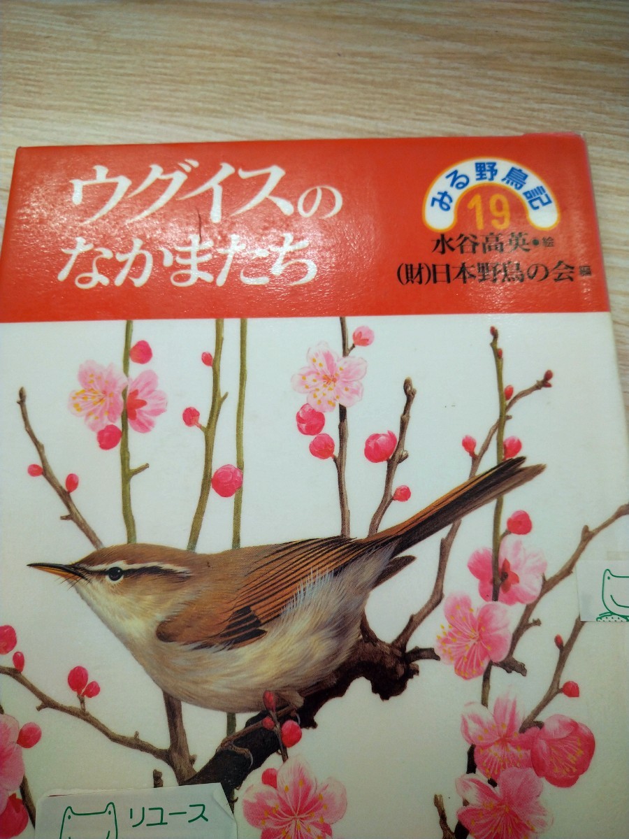 ウグイスのなかまたち　みる野鳥記１９ 水谷高英・絵　日本野鳥の会・編　あすなろ書房　図書館廃棄本_画像1