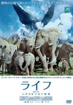 ライフ いのちをつなぐ物語 レンタル落ち 中古 DVD_画像1