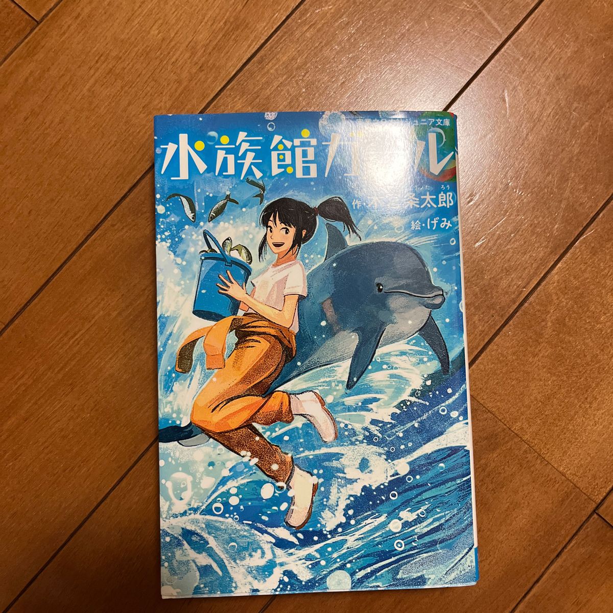 水族館ガール （実業之日本社ジュニア文庫） 木宮条太郎／作　げみ／絵