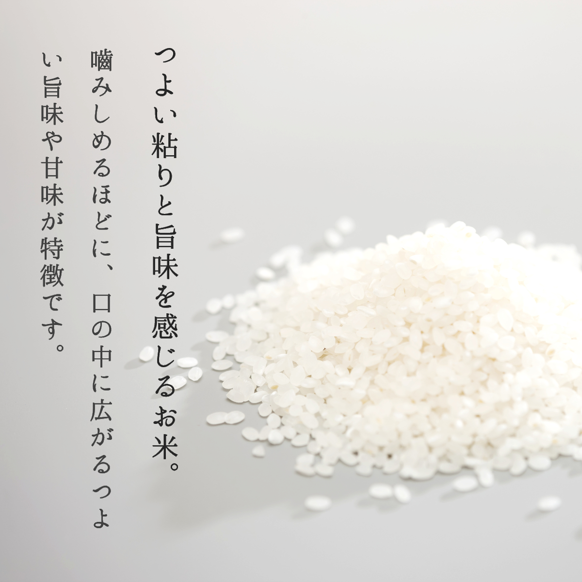 コシヒカリ 10kg 5kg×2袋 山形県産 送料無料 玄米 白米 新米 令和5年産 精米無料 一等米 米 お米 30kg 20kg も販売中_画像3