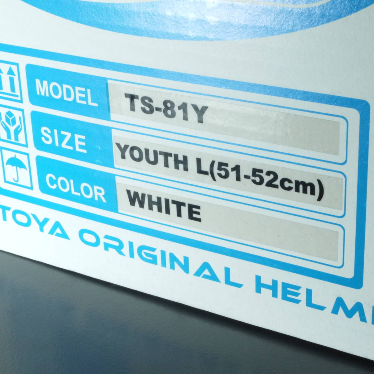 VOID ヘルメット TS-81V WHITE Lサイズ(AL1111)_画像10