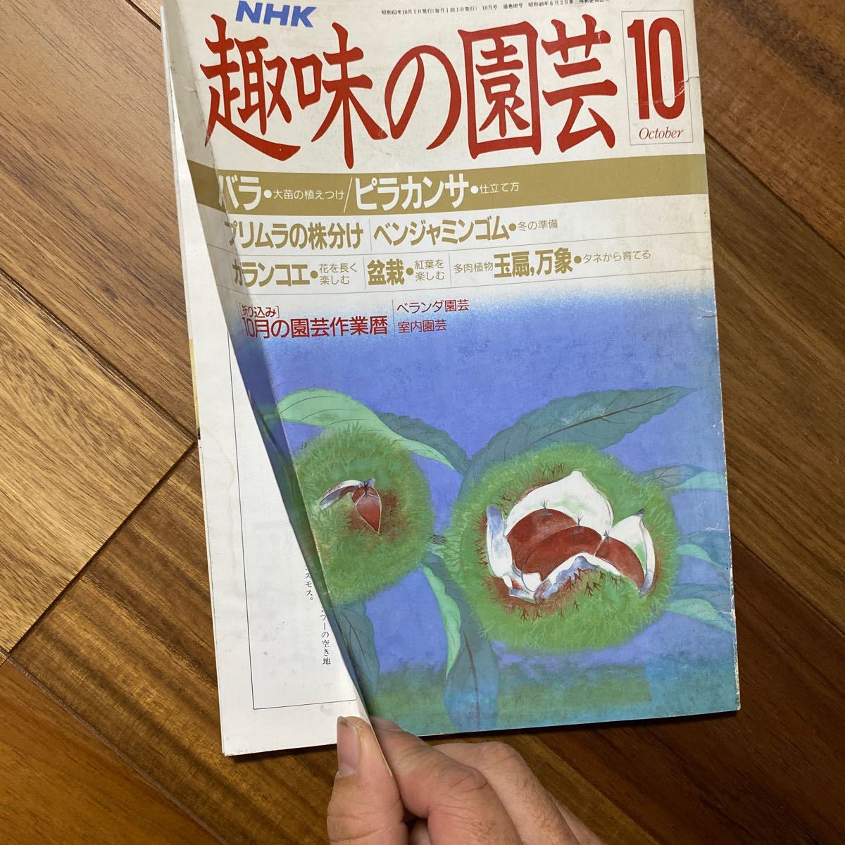NHK 趣味の園芸昭和63年10月1日発行（NHK出版）表紙折れ有　管理番号A346_画像3