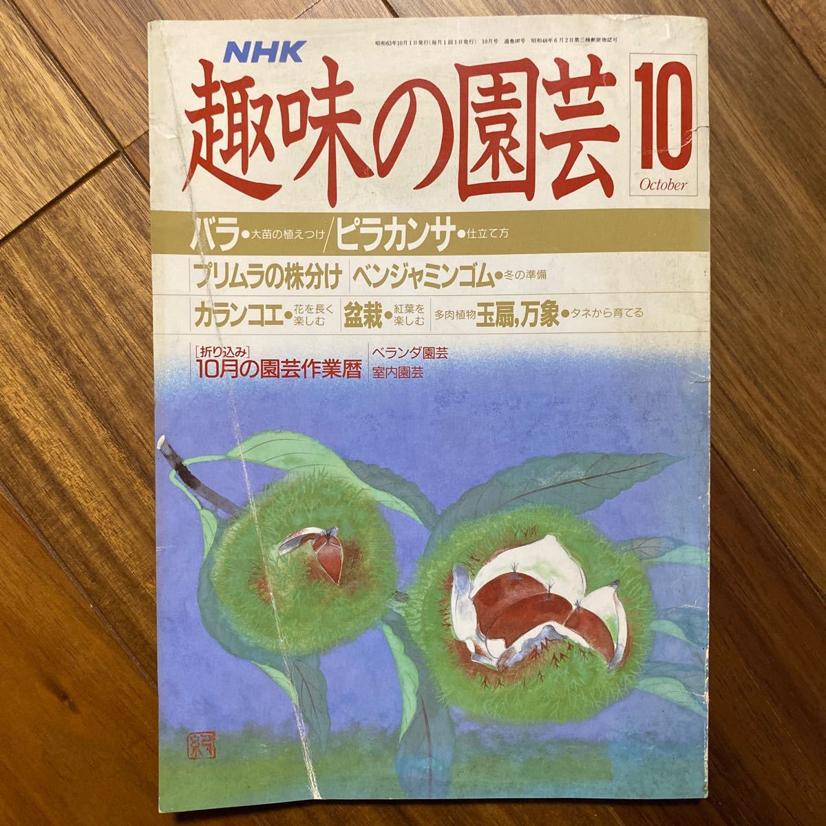 NHK 趣味の園芸昭和63年10月1日発行（NHK出版）表紙折れ有　管理番号A346_画像1