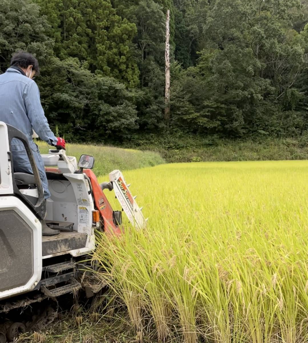 令和5年産　新米　コシヒカリ10kg　玄米　送料無料　福島県産_画像2