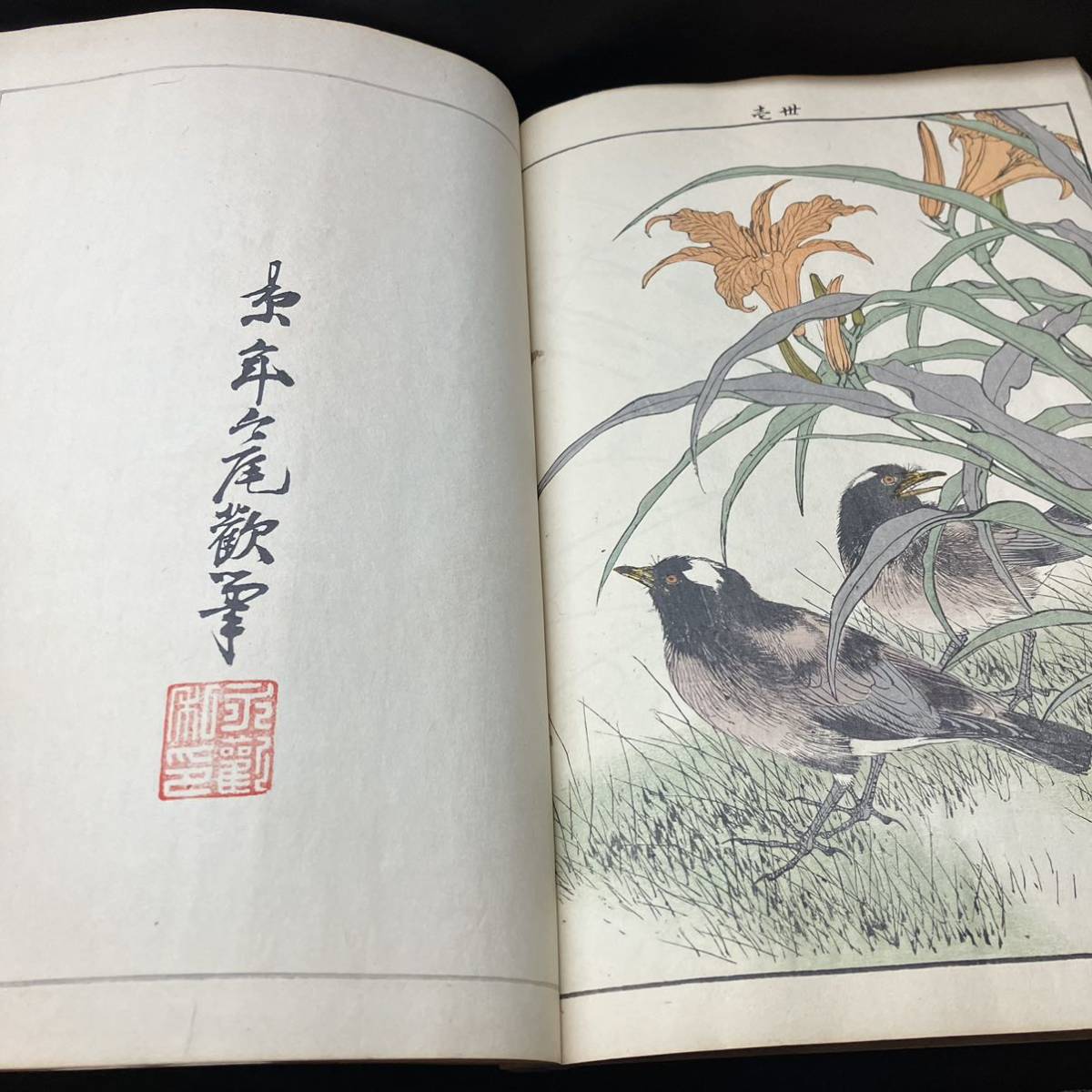 希少 景年花鳥画譜 明治25年 春ノ部 今尾景年画 西村總左衛門 山田芸艸堂刊 彩色木版画 唐本 和本 浮世絵 画集_画像6