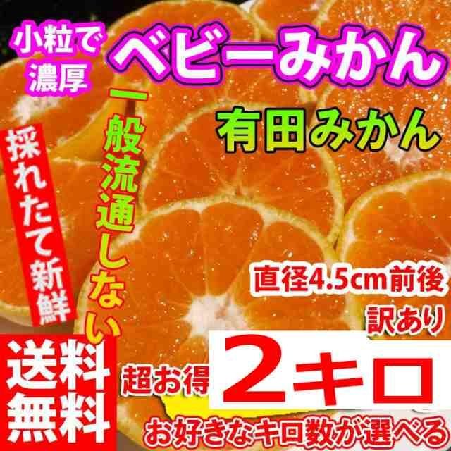 みかん 激レア小粒直径4.5cm前後 2kg 訳あり 和歌山 有田みかん ありだみかん 農家直送 温州みかん フルーツ 果物_画像1