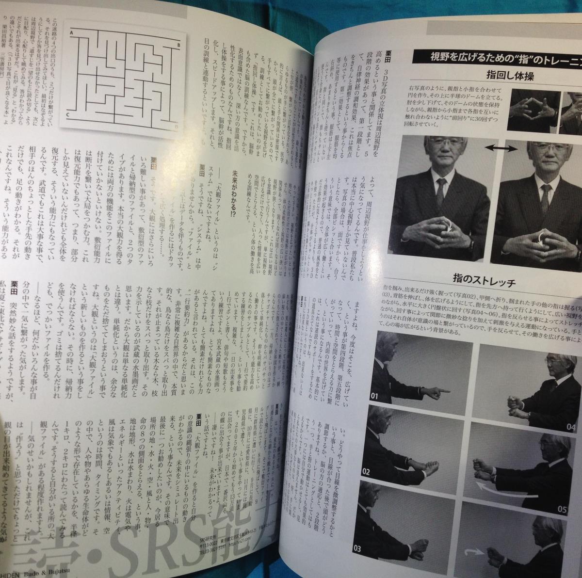 月刊 秘伝 2012年03月号 BABジャパン 4910176370325 全体を同時に観よ 観の目で行こう 目付の極意 八方目 円明流術理 カポエィラの画像4